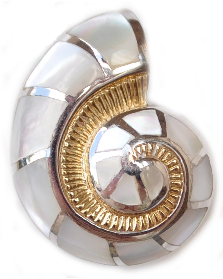 Nautilus Shell Pendant – The Bronze Lady